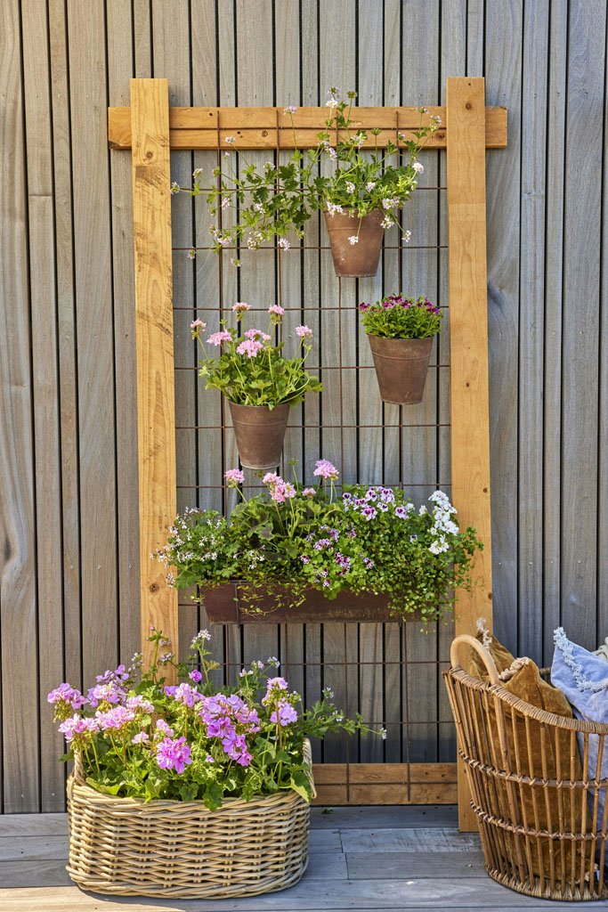 Vertical garden trellis with climbing vines maximizing small outdoor space
