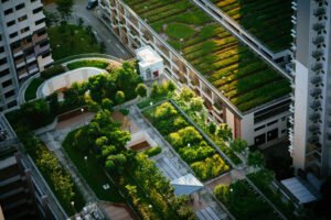 Urban Garden