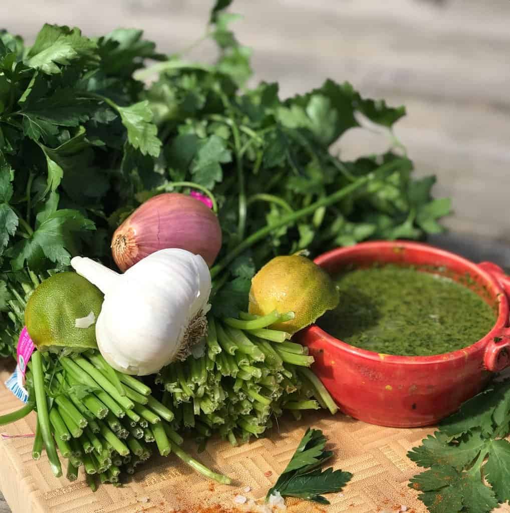 growing cilantro 