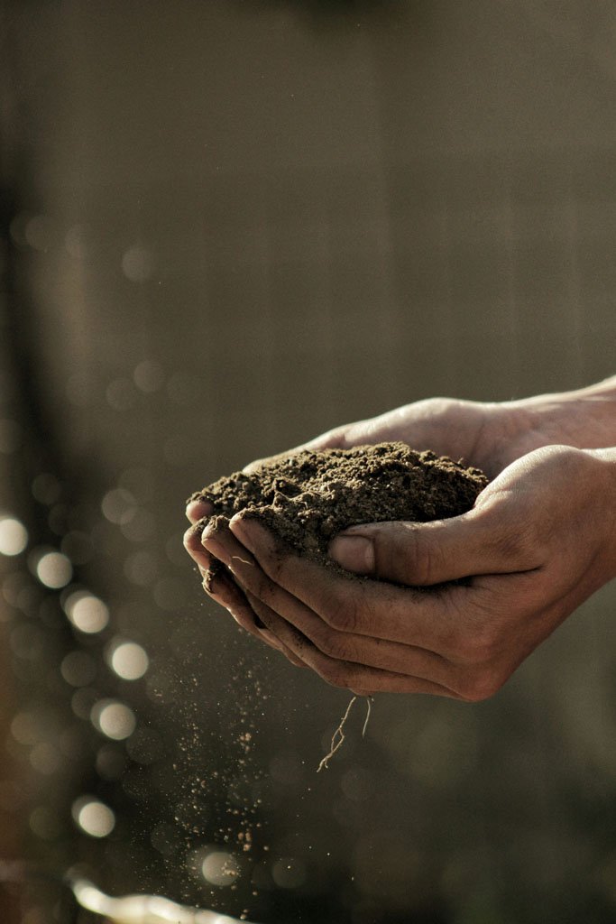 hands hold rich living soil