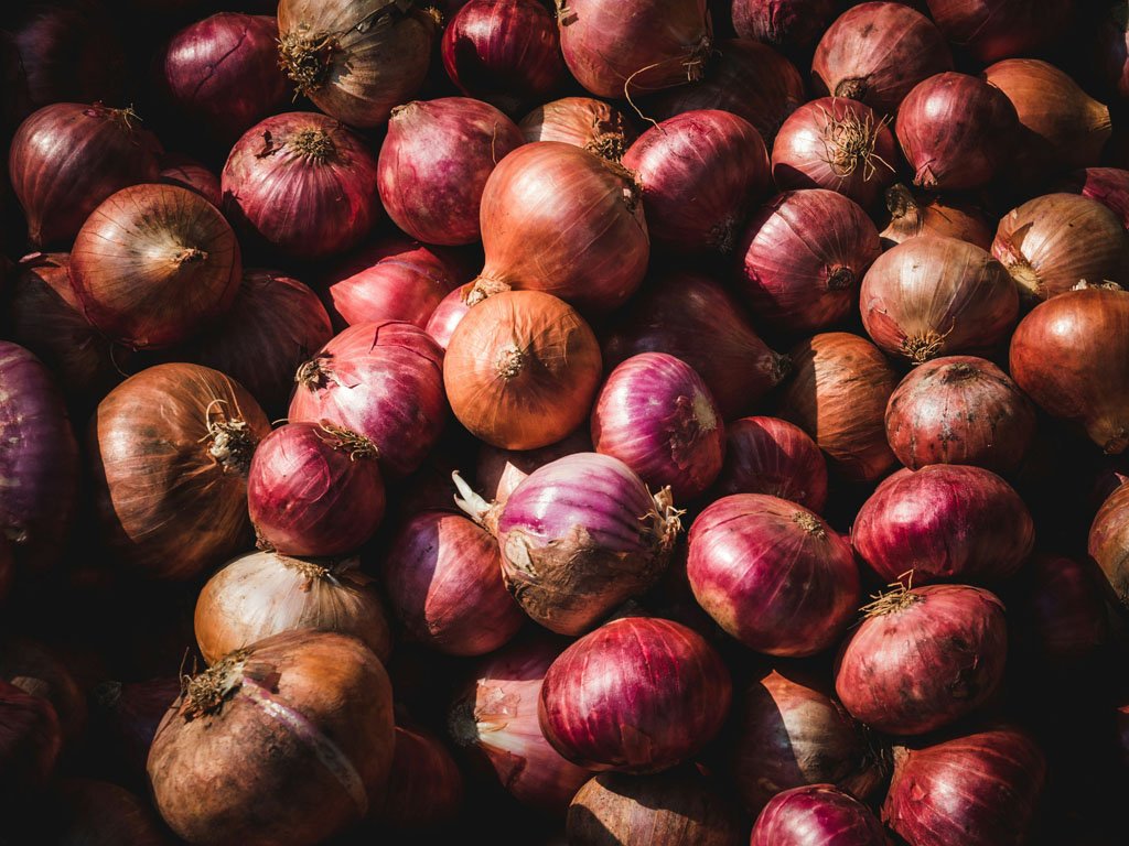 Master Growing Onions