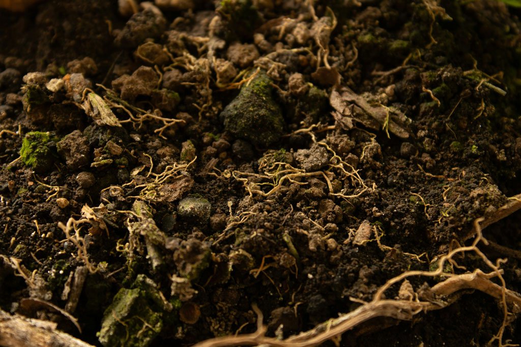 rich organic matter regenerative agriculture mindset soil