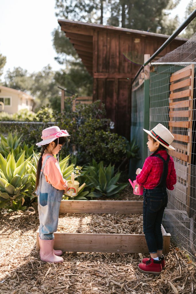 how to build healthy soil in a raised bed with compost and mulch