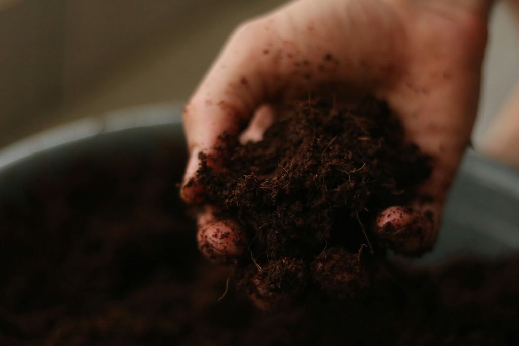 a hand in fresh living soil