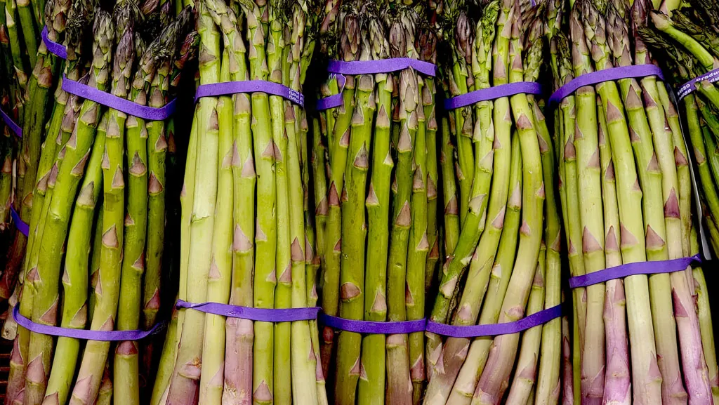 Fresh asparagus spears ready for harvest