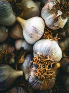 Cloves of garlic on soil