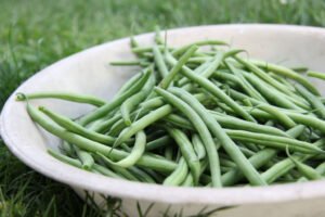 a bowl of green beans