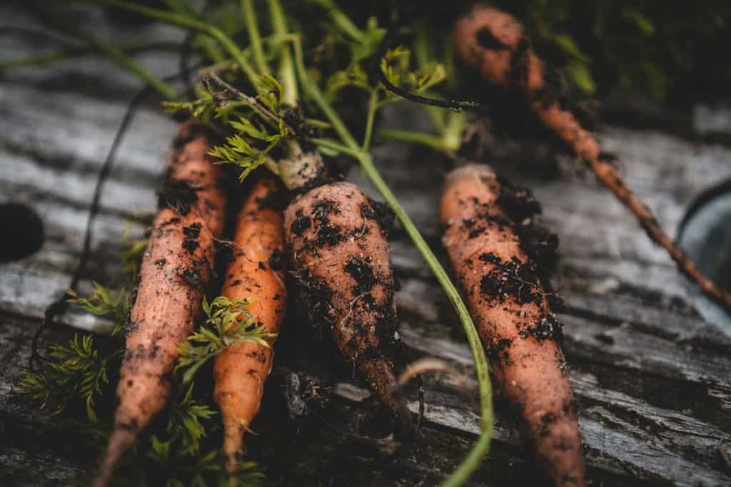 carrot covered in soil on an old table