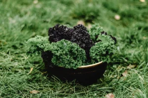A bowl filled with Kale